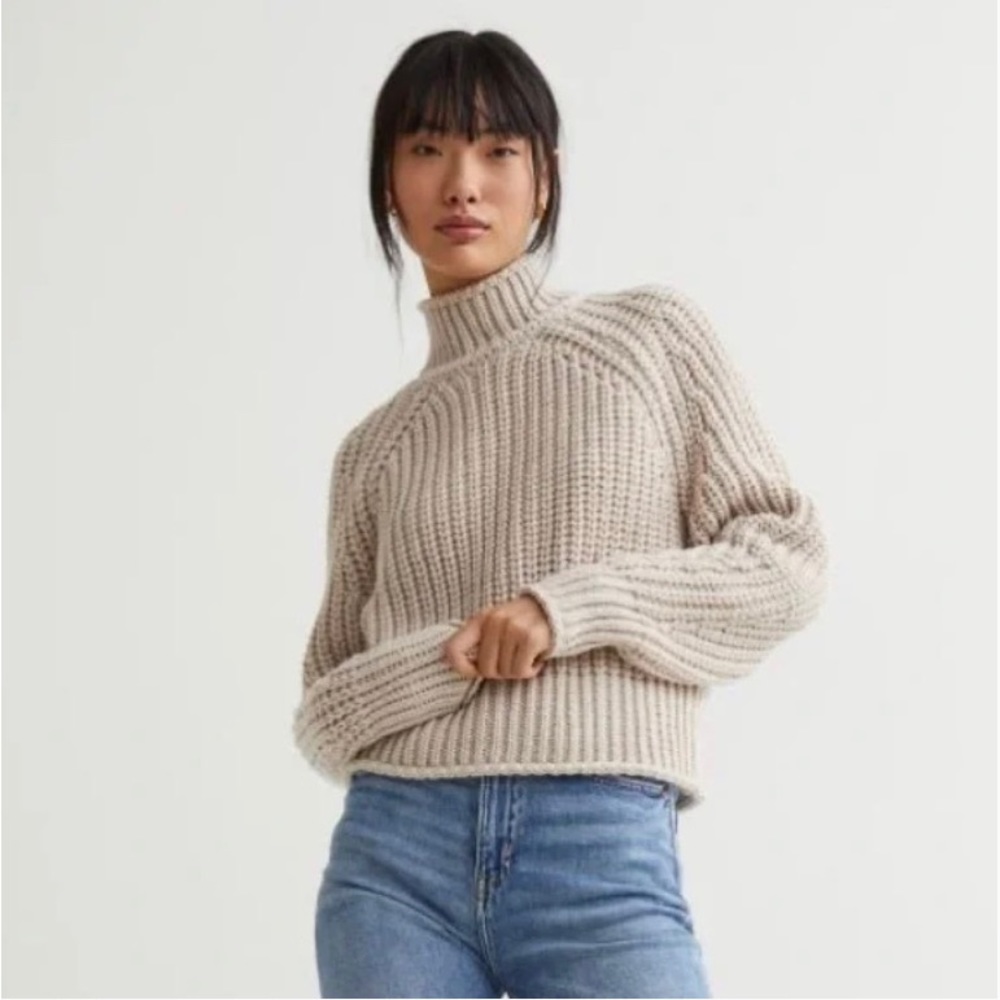 H&M Chunky Cable Knit Sweater